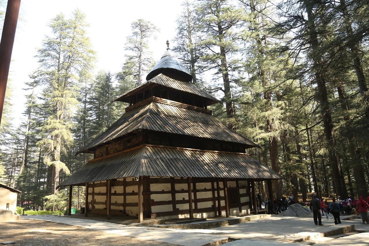 Hotel Mountain Trail Manali, Manali